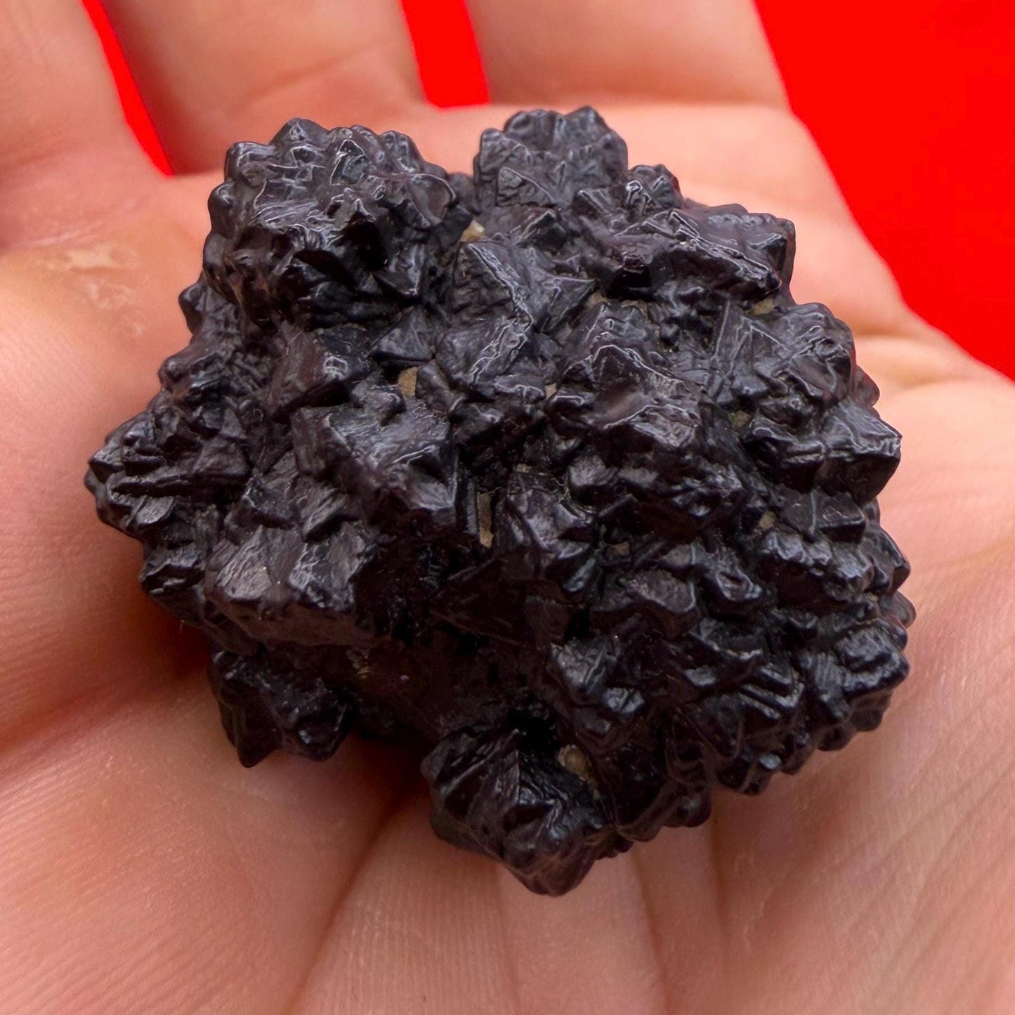 Rare Spiked Prophecy Stone: Egypt, Dreamwork, Egyptian Z Stone, 51.90 grams