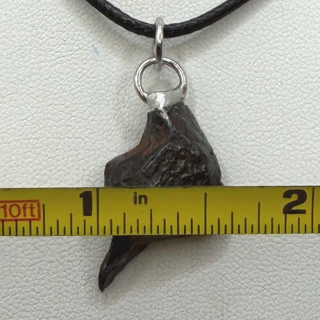 Canyon Diablo Iron Meteorite Pendant: Arizona Space Gift, 6.75g