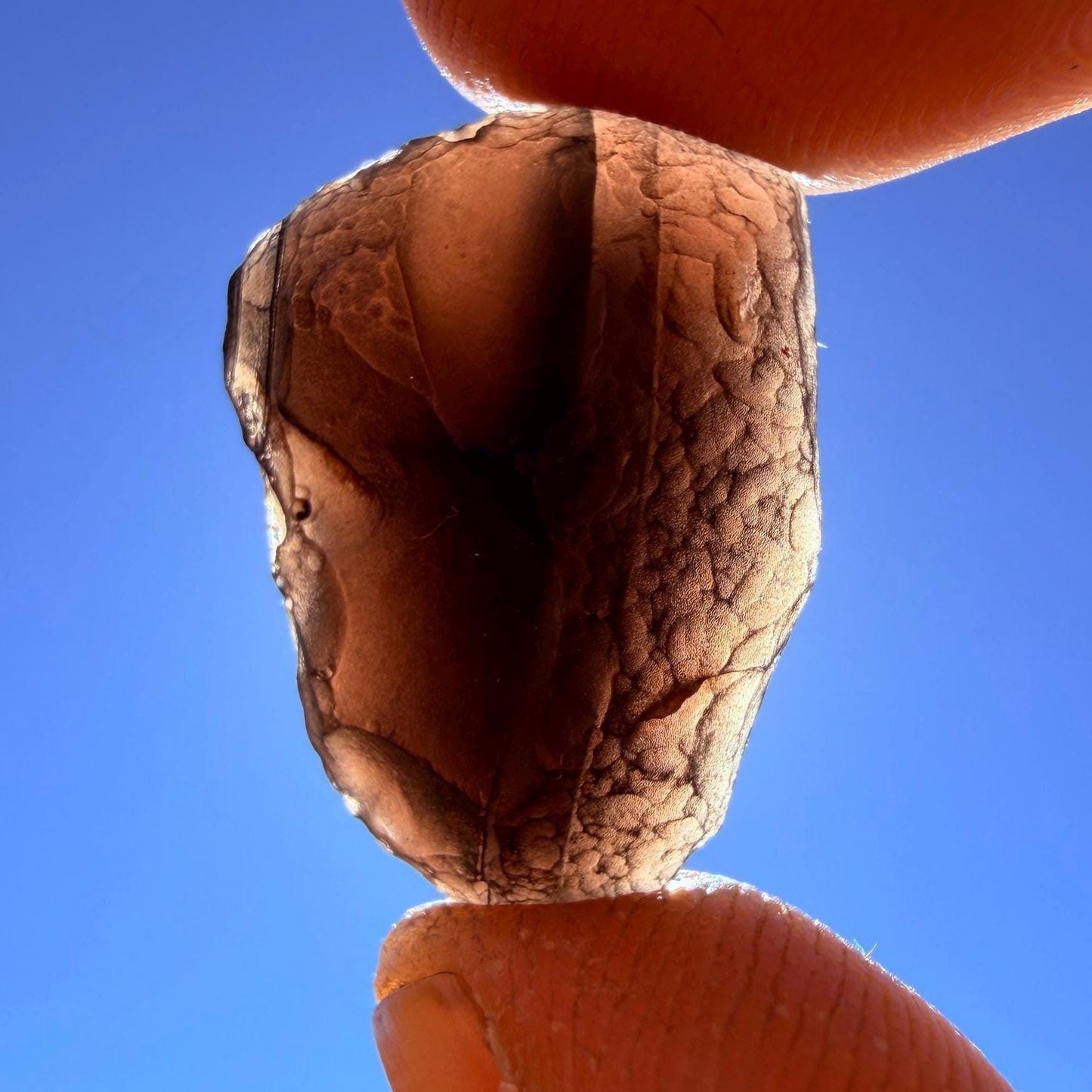 Saffordite Cintamani Stone Specimen: Rare Arizona Pseudo-Tektite, 5.85 grams