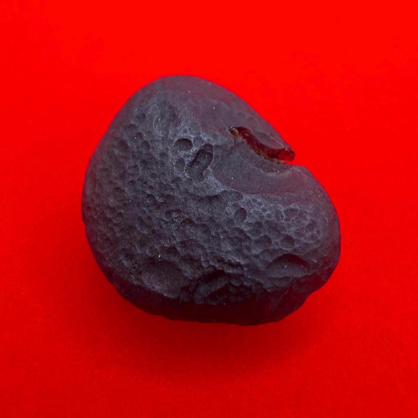 Saffordite Cintamani Stone Specimen: Rare Arizona Pseudo-Tektite, 3.24 grams