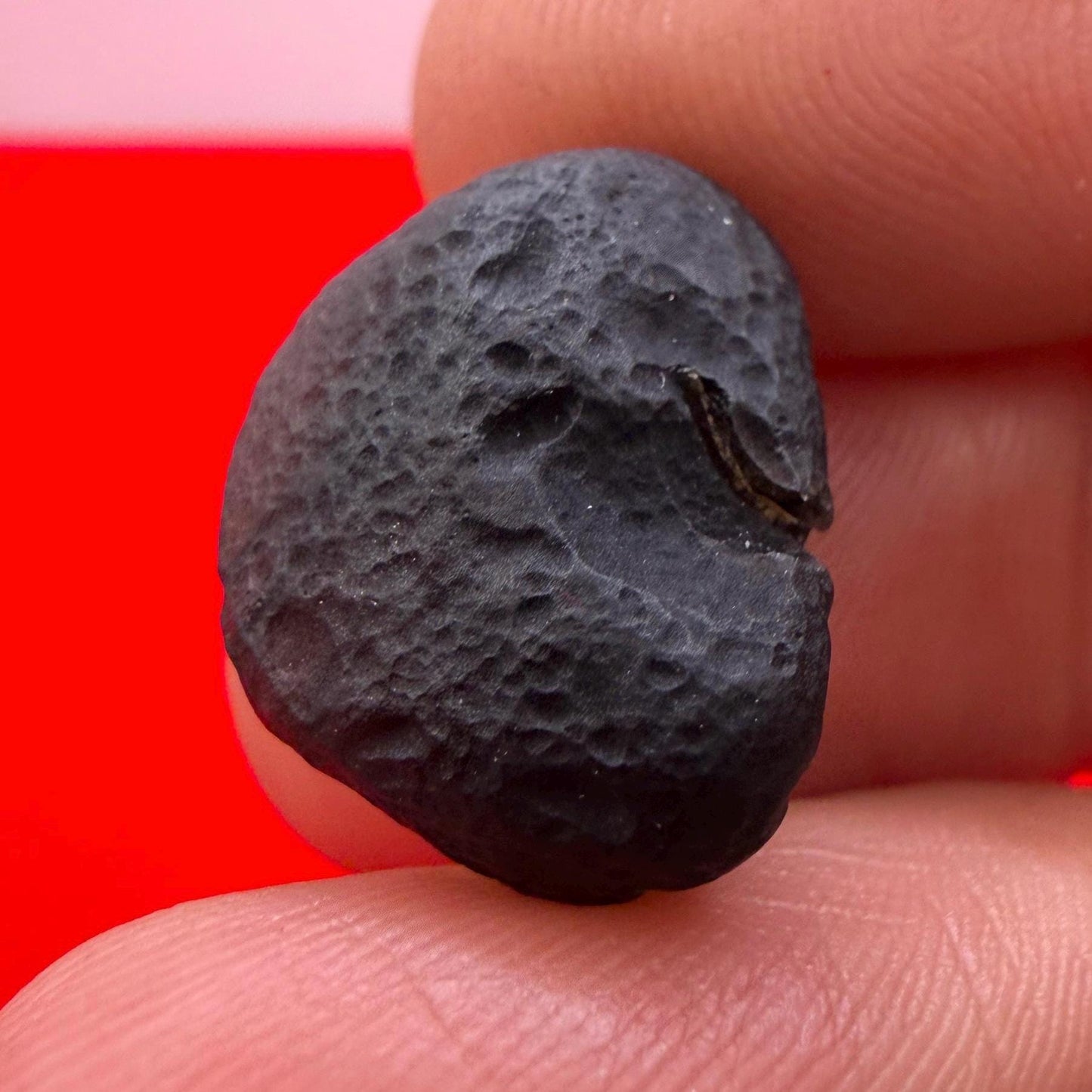 Saffordite Cintamani Stone Specimen: Rare Arizona Pseudo-Tektite, 3.24 grams