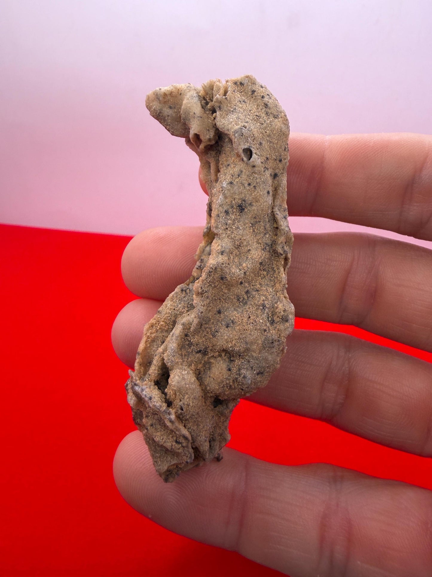Sahara Desert Fulgurite: Fossilized Lightning Rock, Energy Work, 14.53 grams