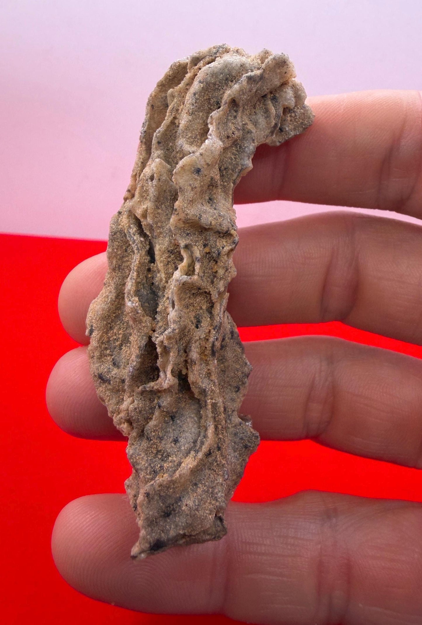 Sahara Desert Fulgurite: Fossilized Lightning Rock, Energy Work, 14.53 grams