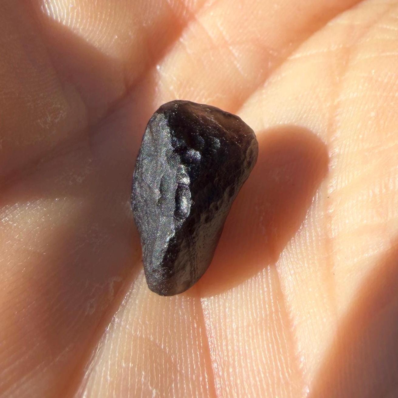 Saffordite Stone: Rare Arizona Cintamani - Metaphysical Shamanic Crystal, 1.25 grams