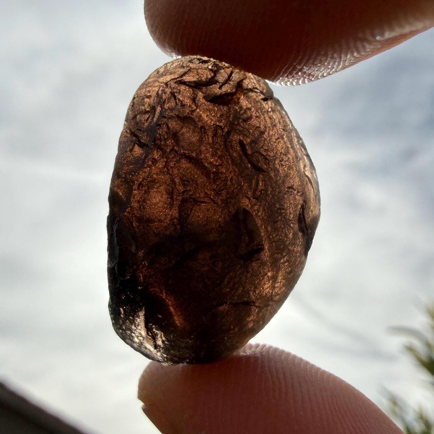 Saffordite Cintamani Stone Specimen: Rare Arizona Pseudo-Tektite, 7.49 grams