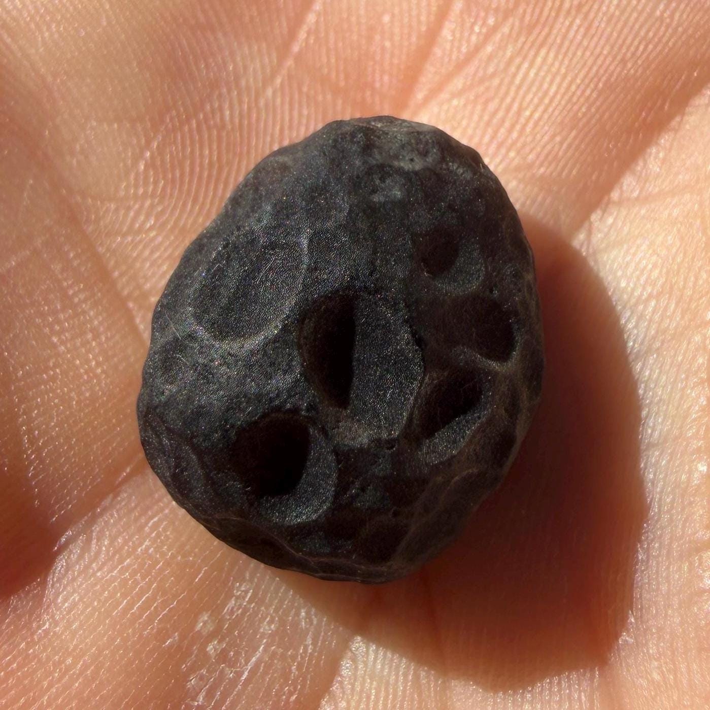 Saffordite Stone: Rare Cintamani, Arizona Tektite - 4.69 Grams