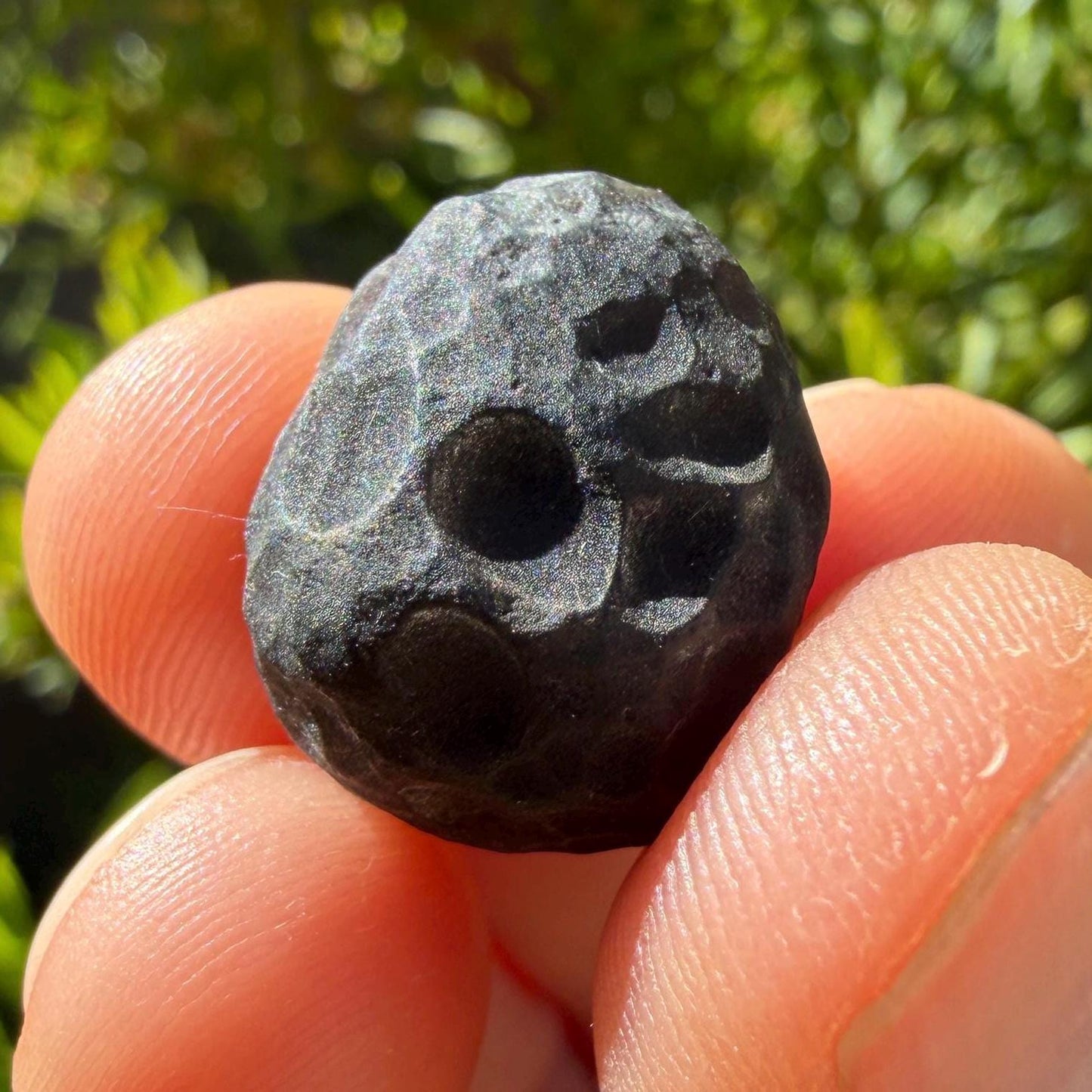 Saffordite Stone: Rare Cintamani, Arizona Tektite - 4.69 Grams