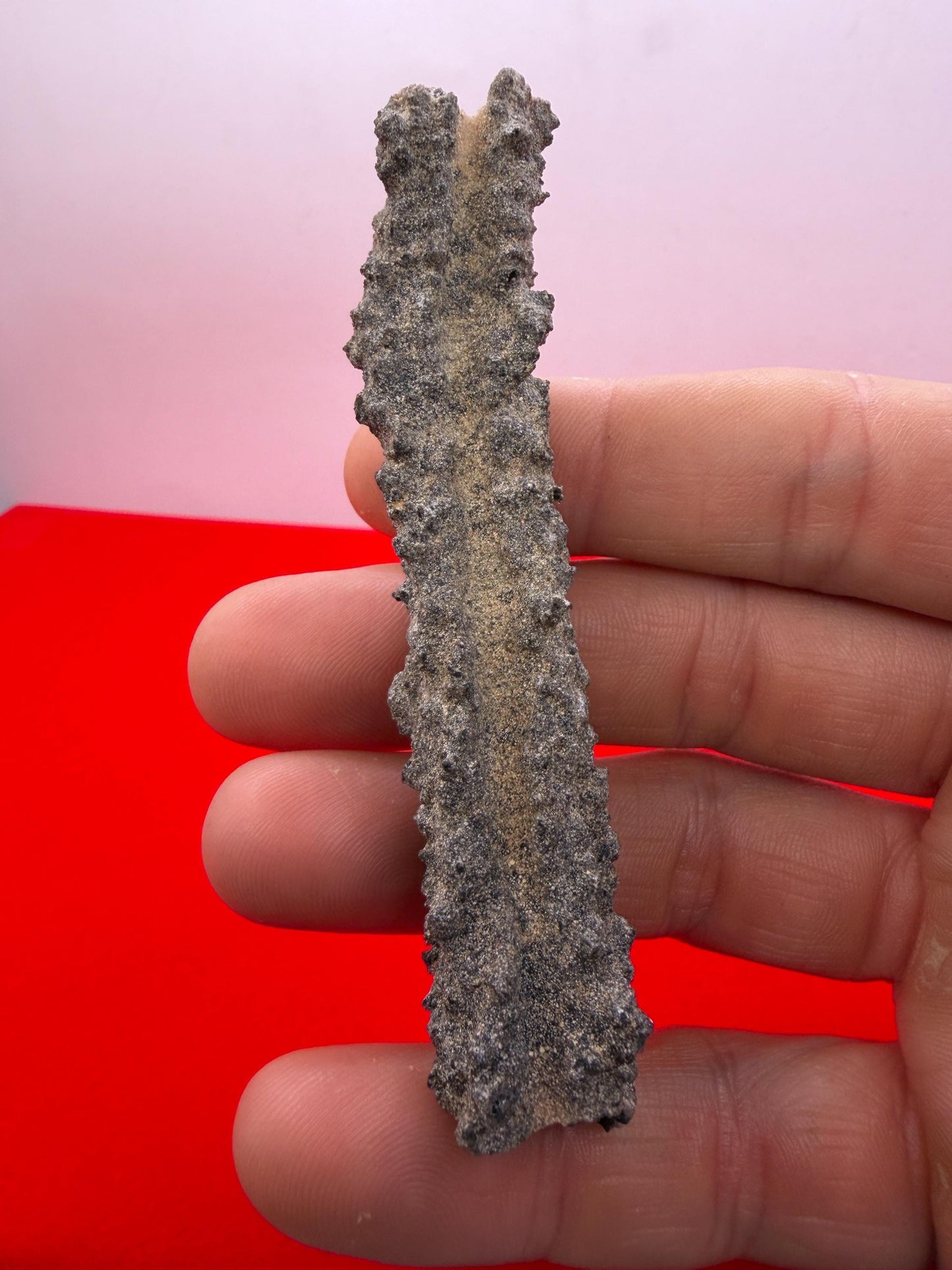 Sahara Desert Fulgurite: Fossilized Lightning Rock, Energy Work, 7.18 grams