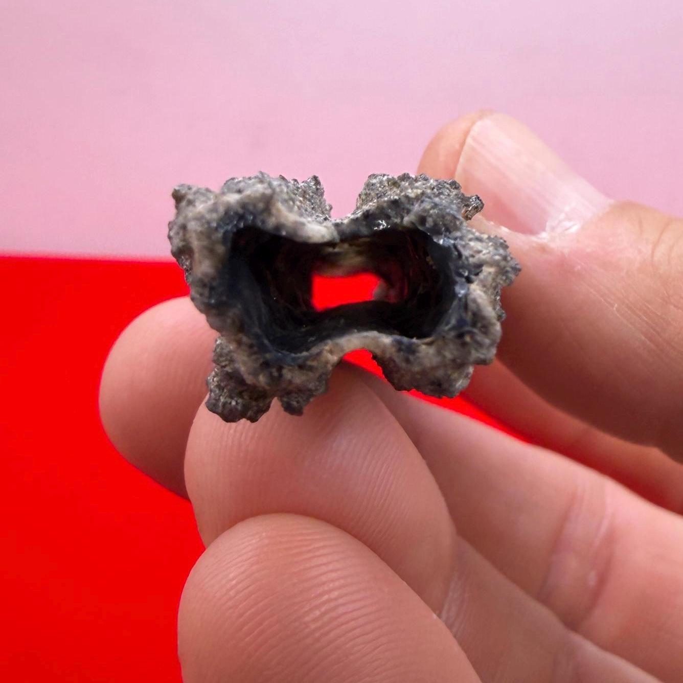 Sahara Desert Fulgurite: Fossilized Lightning Rock, Energy Work, 7.18 grams