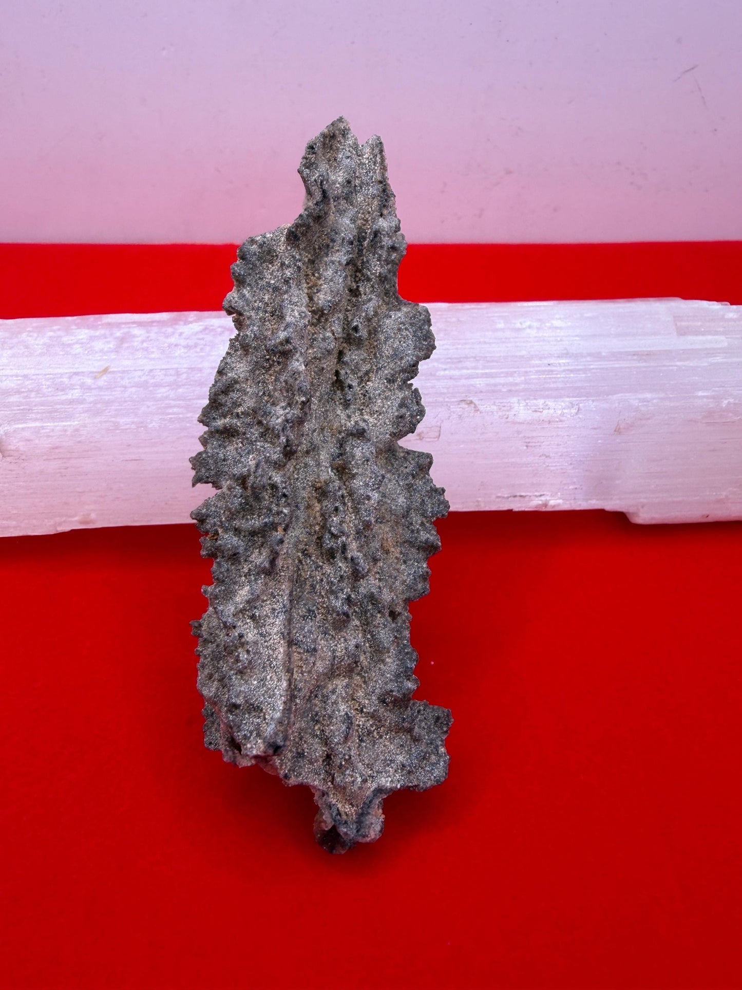 Sahara Desert Fulgurite: Fossilized Lightning Rock, Energy Work, 10.61 grams