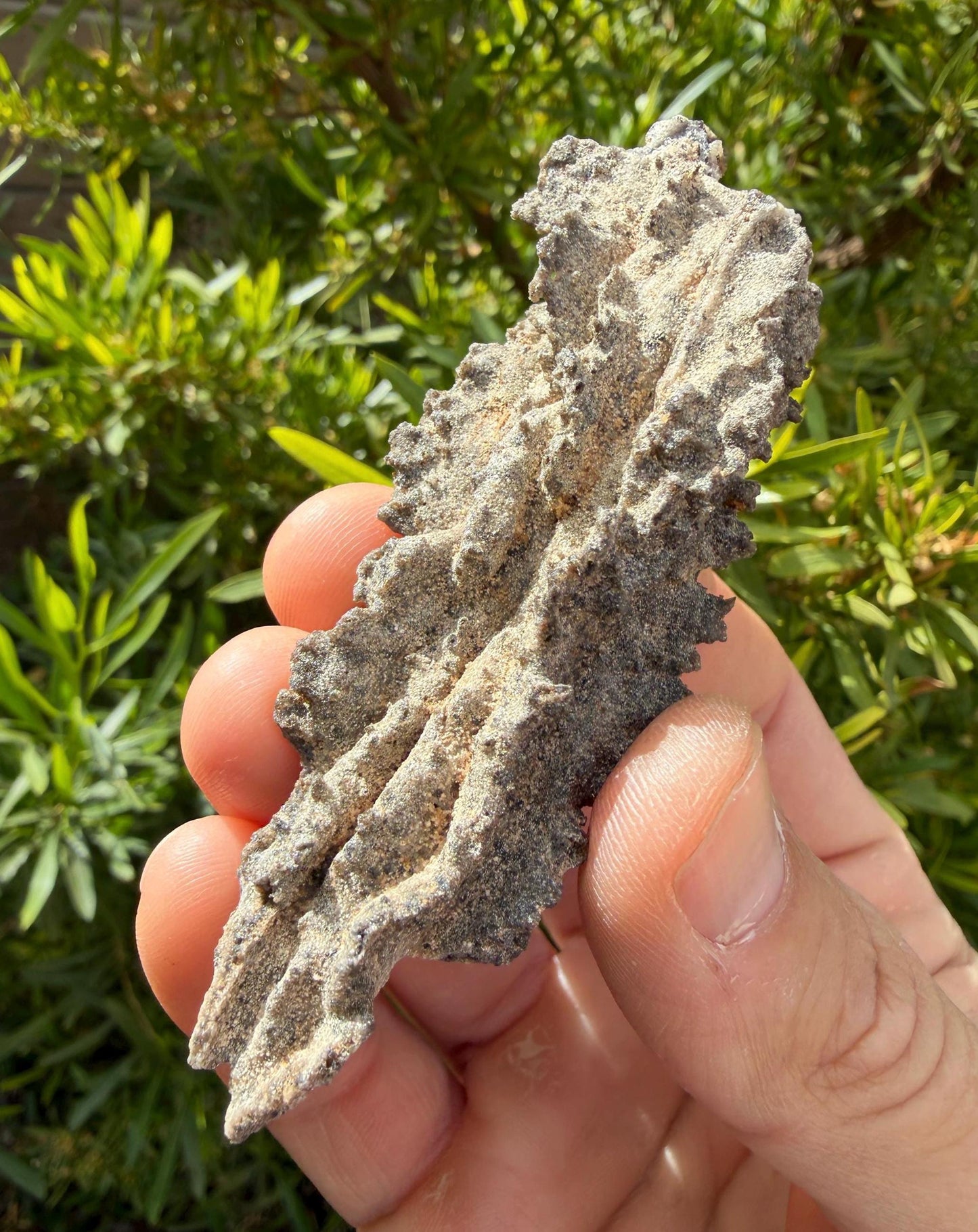 Sahara Desert Fulgurite: Fossilized Lightning Rock, Energy Work, 10.61 grams