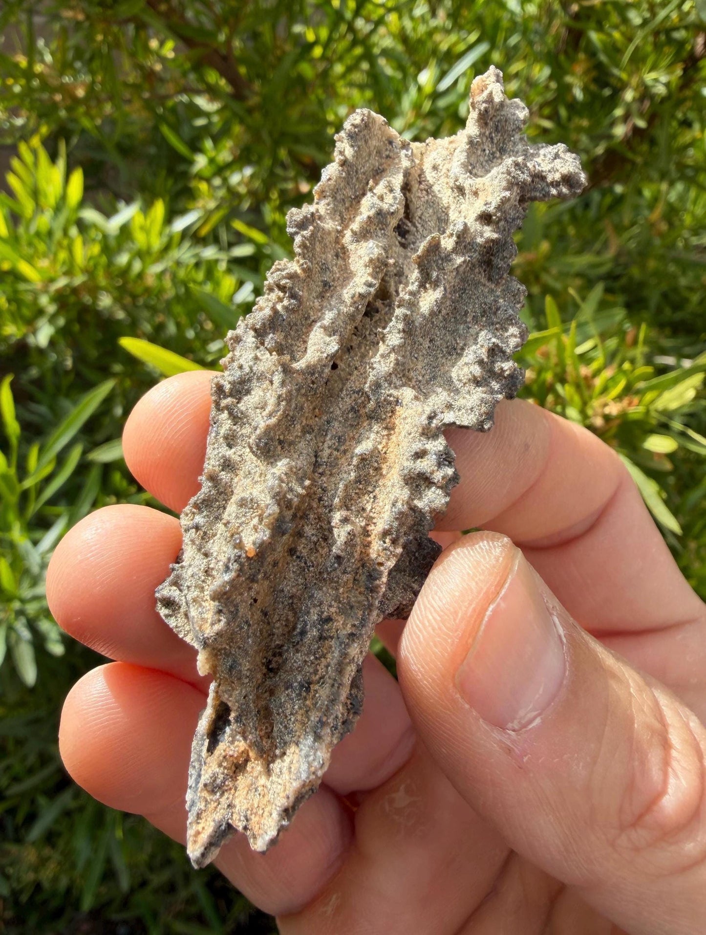 Sahara Desert Fulgurite: Fossilized Lightning Rock, Energy Work, 10.61 grams