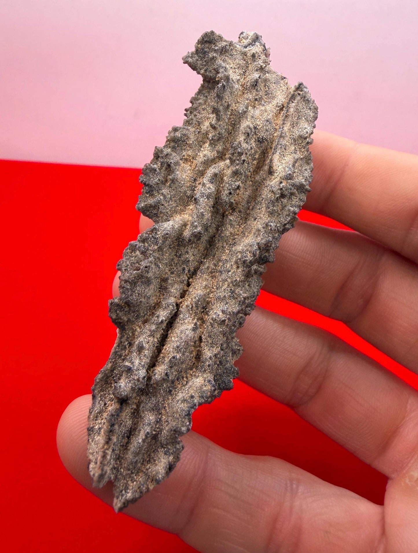 Sahara Desert Fulgurite: Fossilized Lightning Rock, Energy Work, 10.61 grams