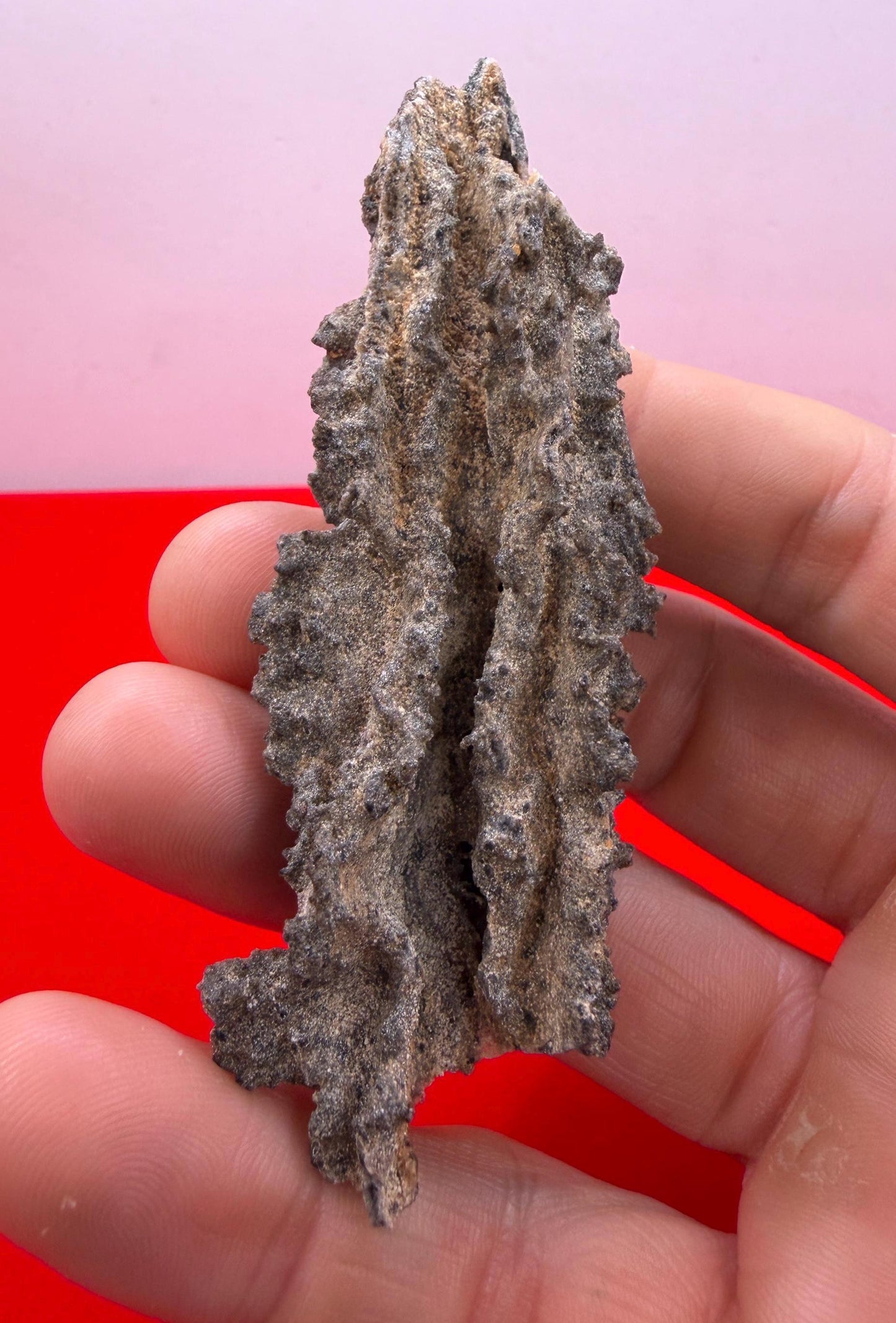 Sahara Desert Fulgurite: Fossilized Lightning Rock, Energy Work, 10.61 grams