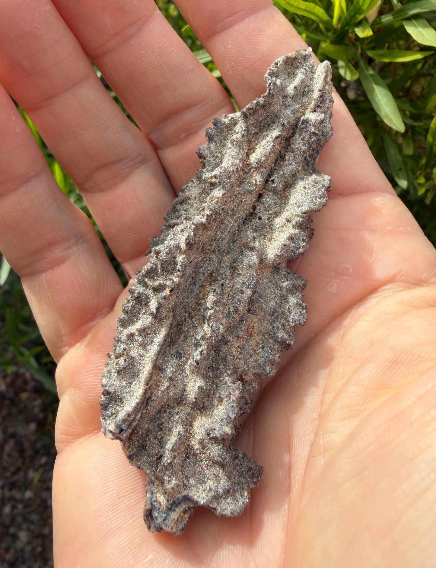 Sahara Desert Fulgurite: Fossilized Lightning Rock, Energy Work, 10.61 grams