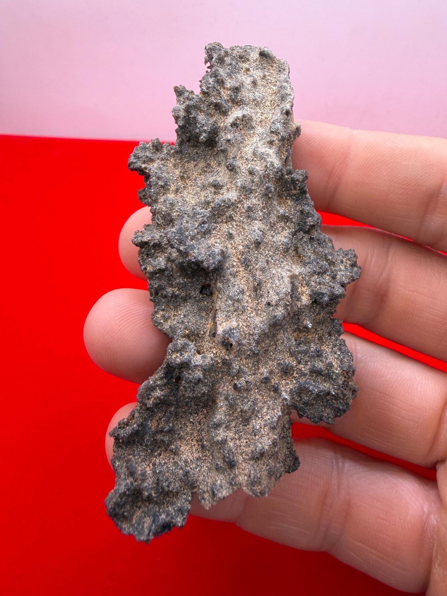 Sahara Desert Fulgurite: Fossilized Lightning Rock, Energy Work, 12.47 grams