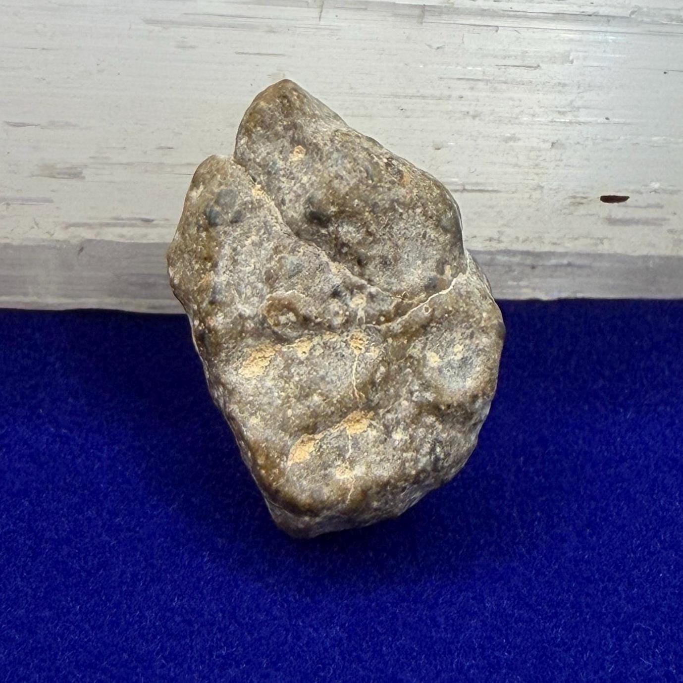 NWA 13974 Lunar Meteorite: Feldspathic Breccia, Moon Rock, 3.35 grams