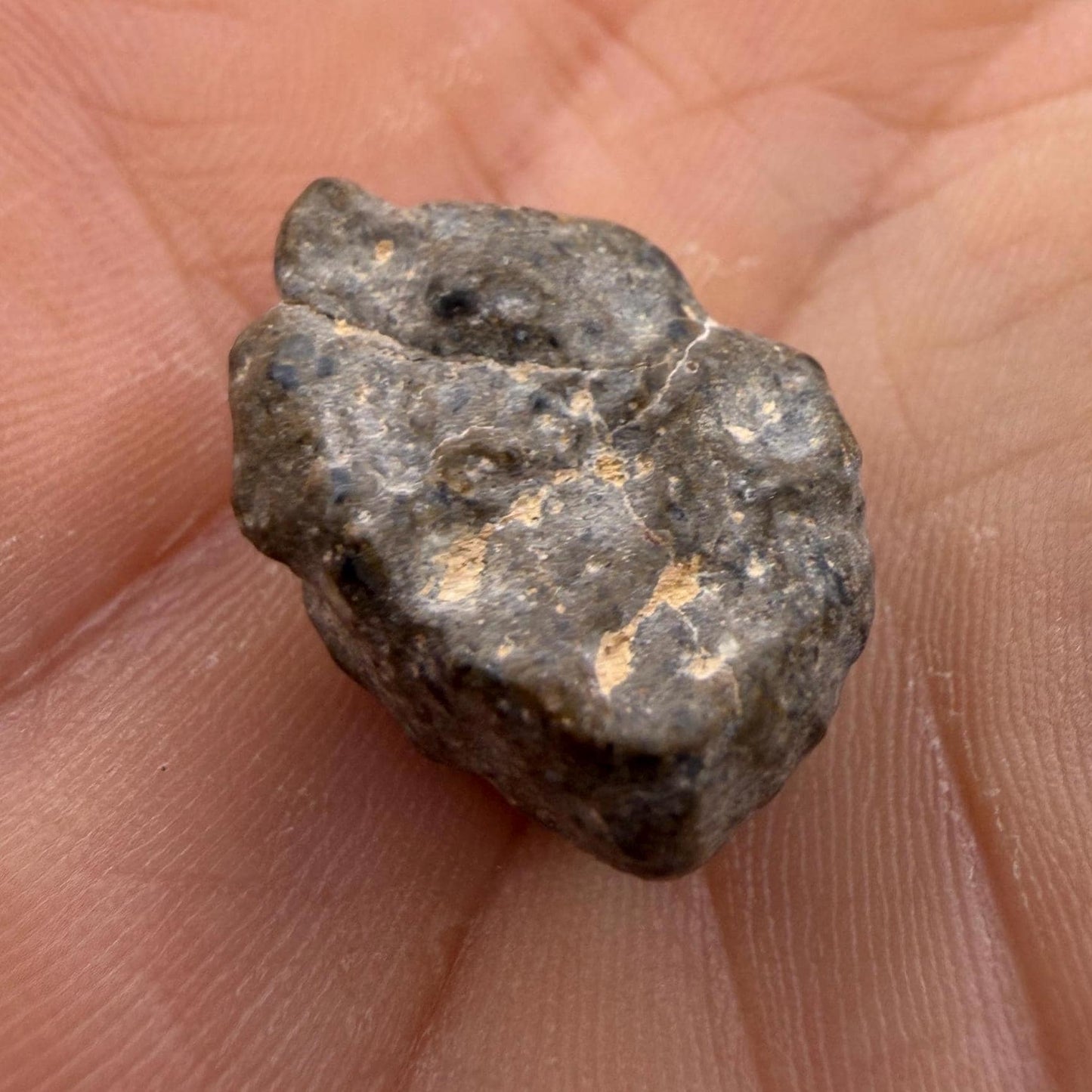 NWA 13974 Lunar Meteorite: Feldspathic Breccia, Moon Rock, 3.35 grams