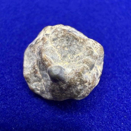NWA 13974 Lunar Meteorite: Feldspathic Breccia, Moon Rock, 1.34 grams