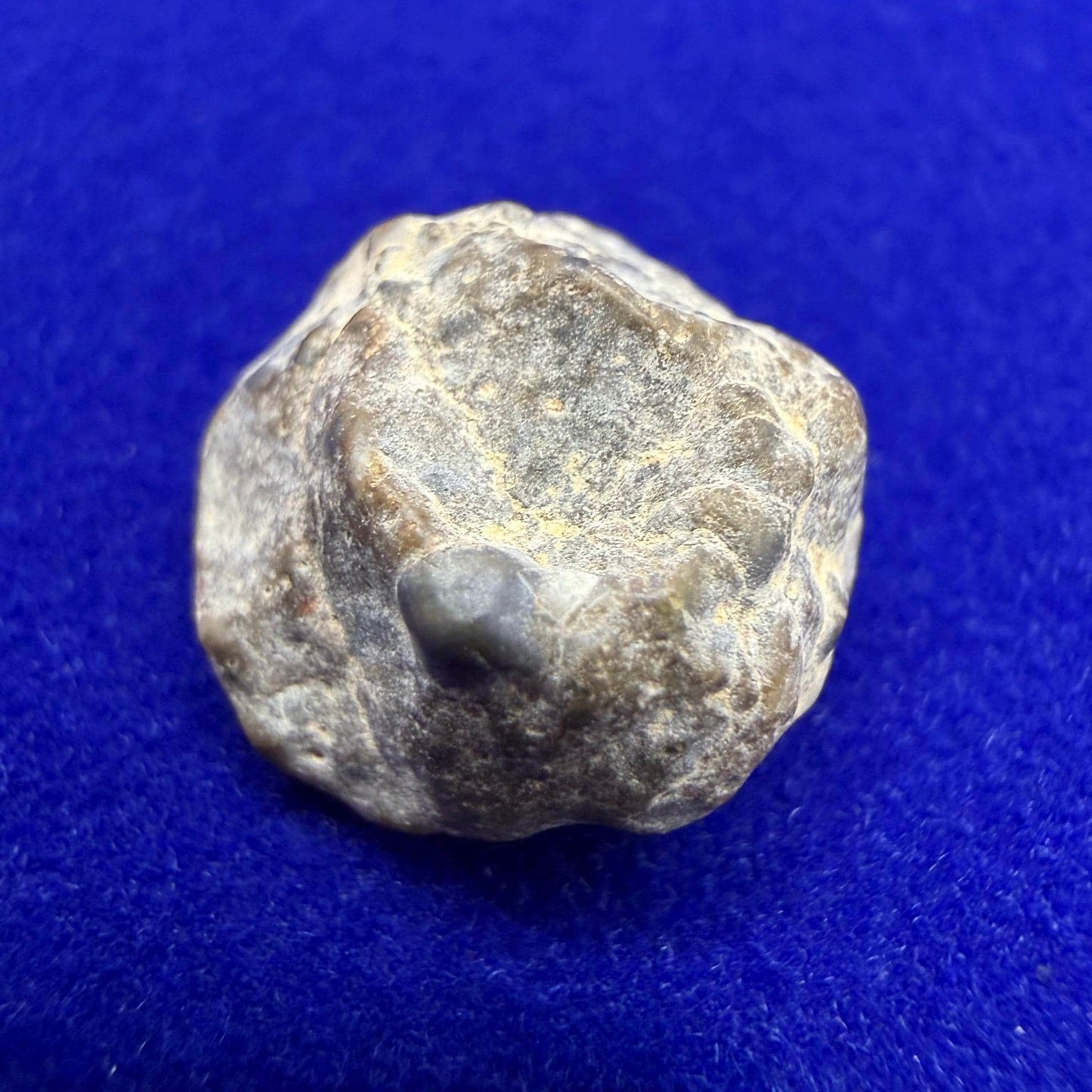 NWA 13974 Lunar Meteorite: Feldspathic Breccia, Moon Rock, 1.34 grams