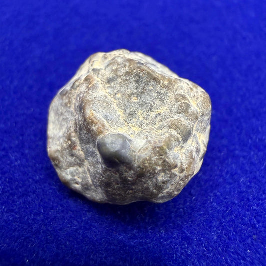 NWA 13974 Lunar Meteorite: Feldspathic Breccia, Moon Rock, 1.34 grams