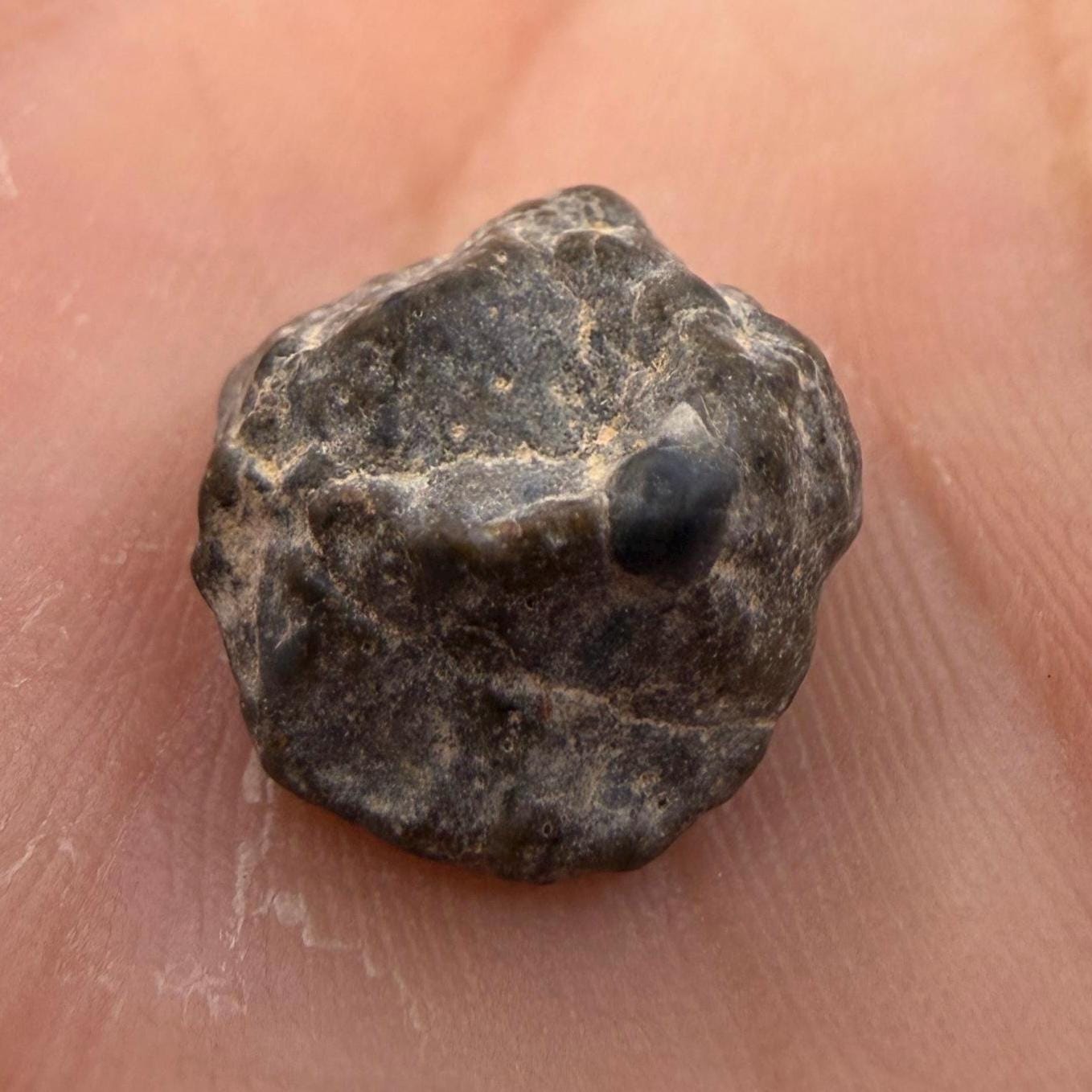 NWA 13974 Lunar Meteorite: Feldspathic Breccia, Moon Rock, 1.34 grams