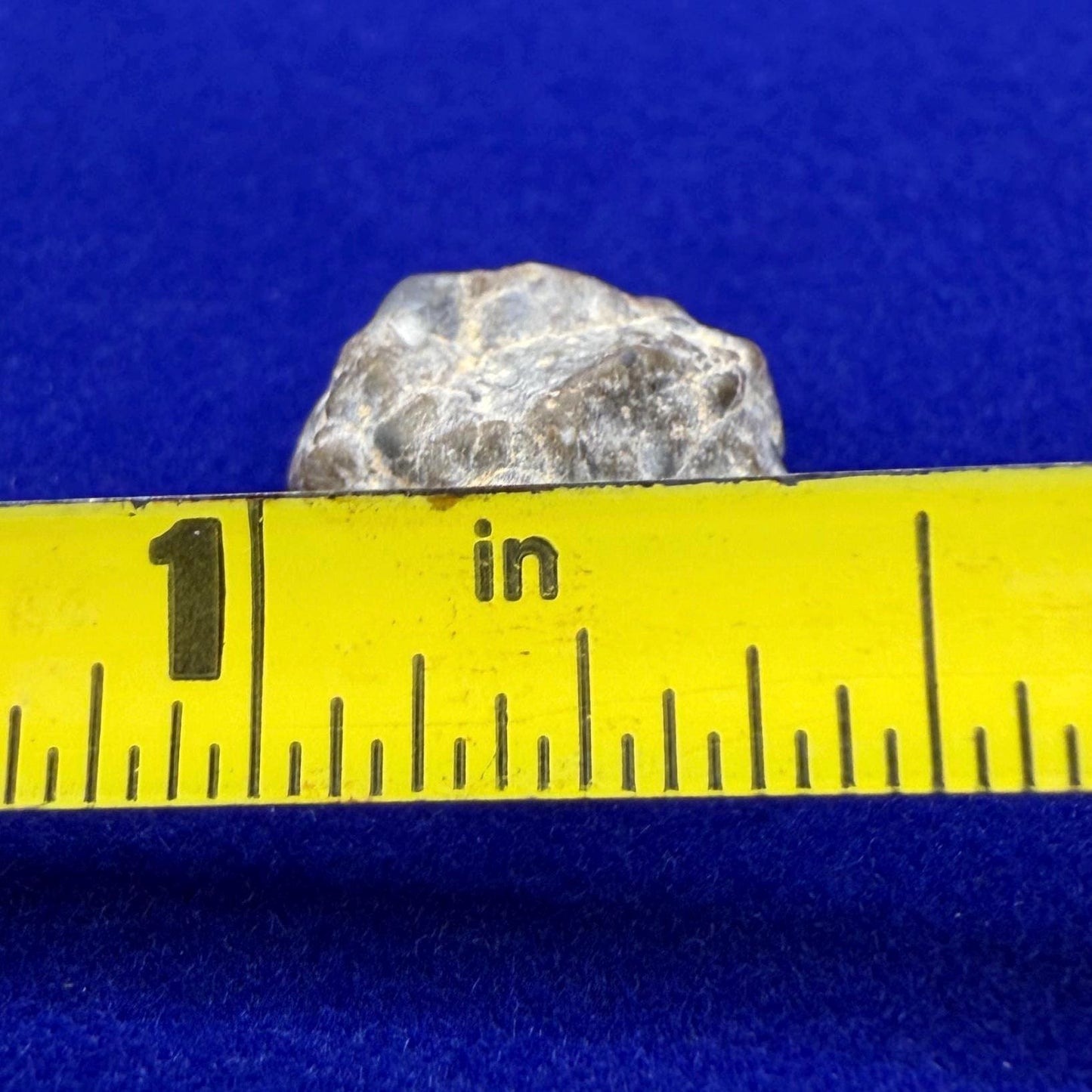 NWA 13974 Lunar Meteorite: Feldspathic Breccia, Moon Rock, 1.34 grams