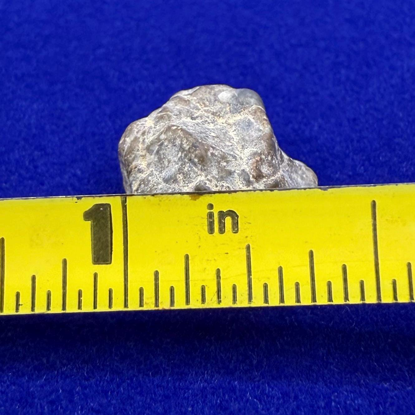 NWA 13974 Lunar Meteorite: Feldspathic Breccia, Moon Rock, 1.34 grams