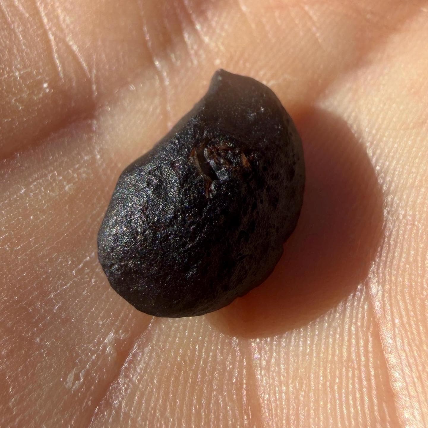 Saffordite Stone: Rare Arizona Cintamani - Metaphysical Shamanic Crystal, 1.25 grams