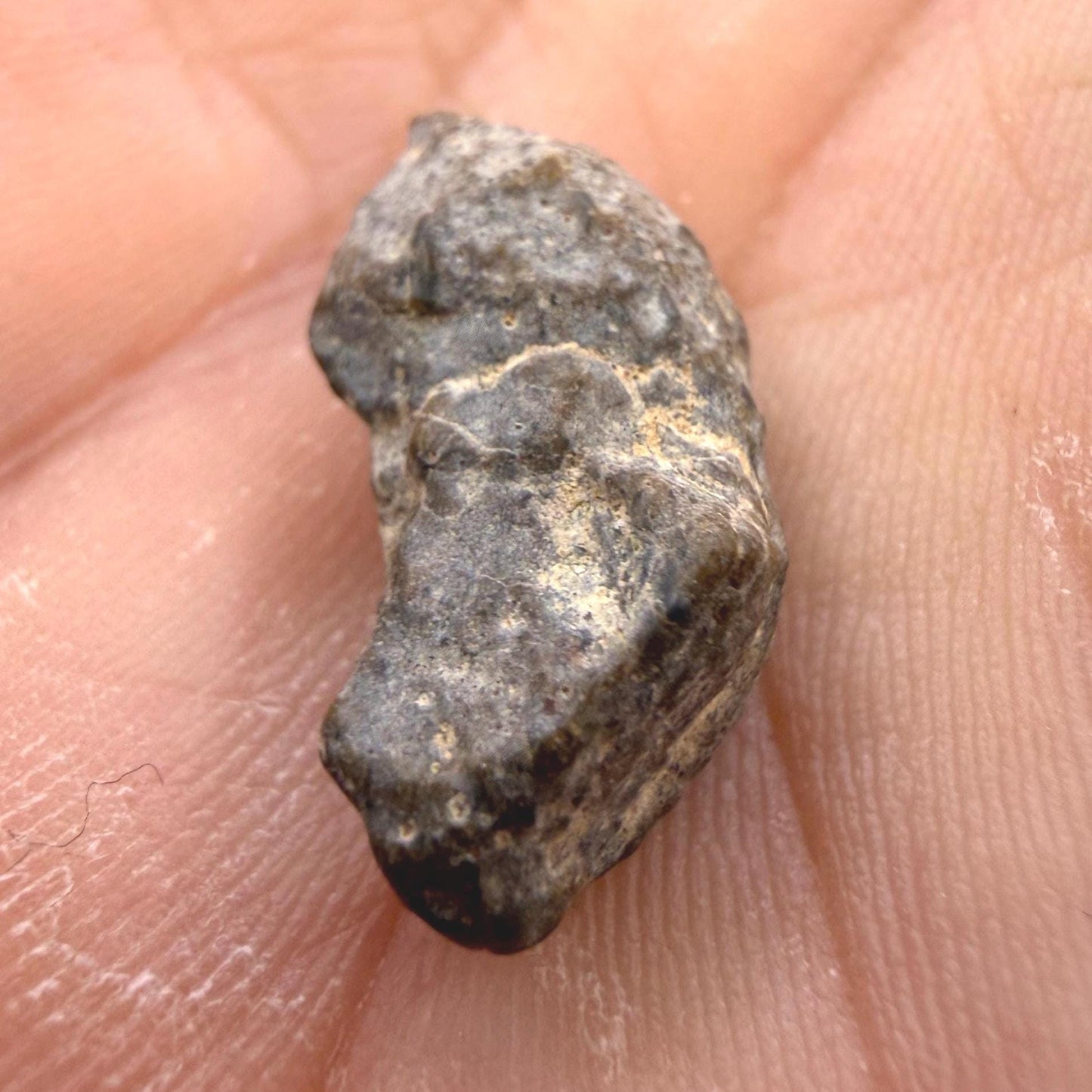 NWA 13974 Lunar Meteorite: Feldspathic Breccia, Moon Rock, 1.53 grams