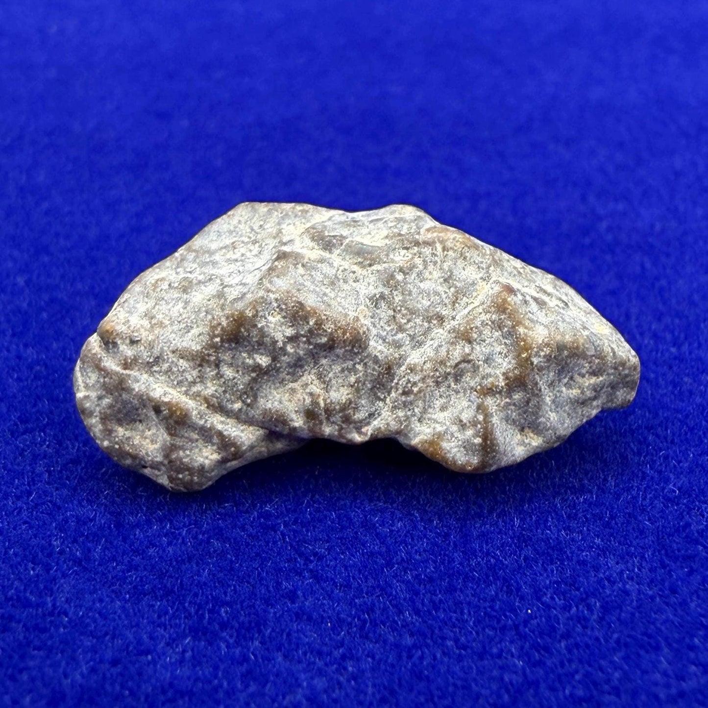 NWA 13974 Lunar Meteorite: Feldspathic Breccia, Moon Rock, 1.53 grams
