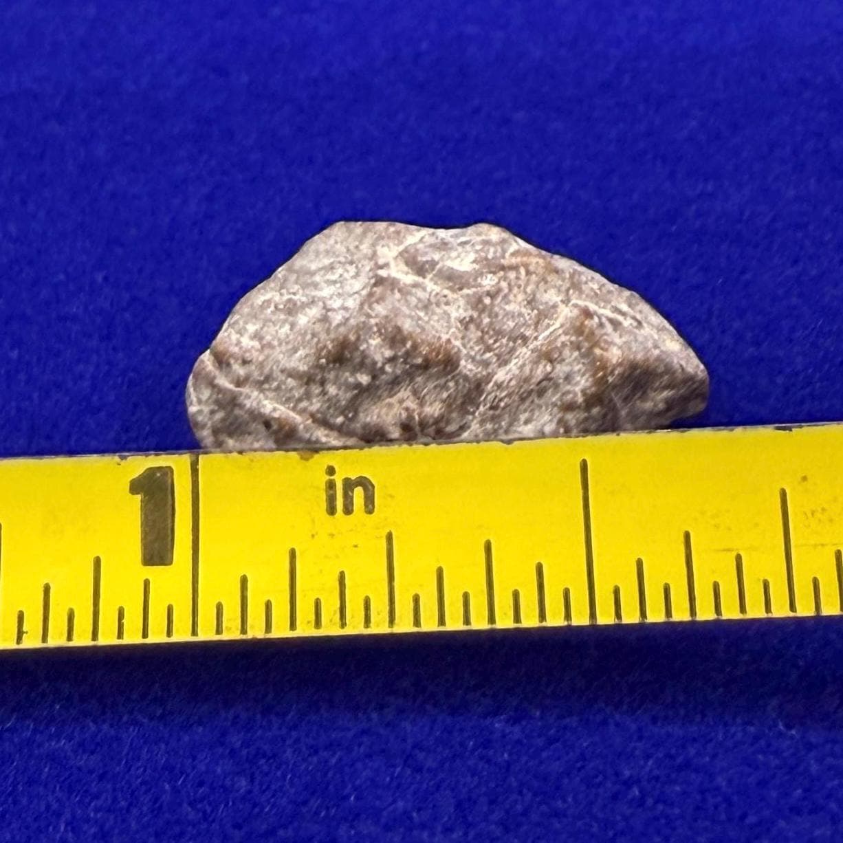 NWA 13974 Lunar Meteorite: Feldspathic Breccia, Moon Rock, 1.53 grams