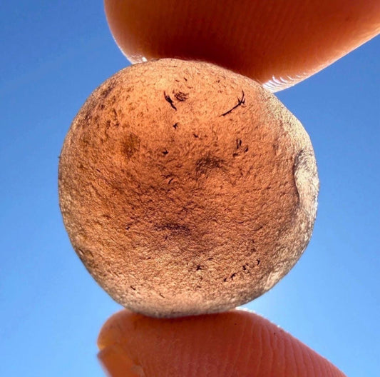 Saffordite Stone: Rare Cintamani, Arizona Tektite - 5.80 Grams