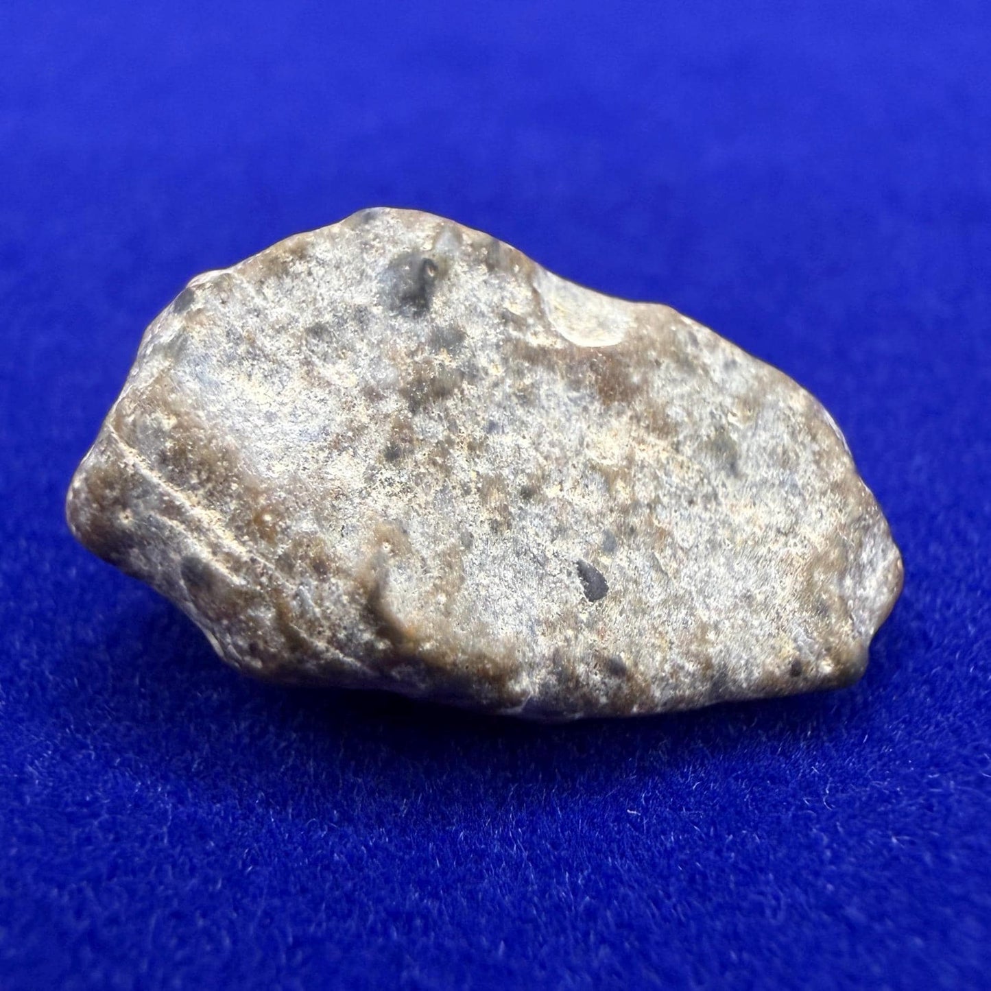 NWA 13974 Lunar Meteorite - Feldspathic Breccia, 2.28 grams