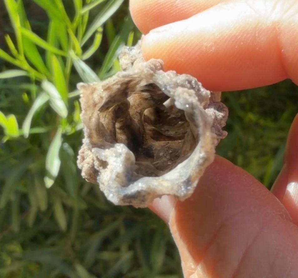 Sahara Desert Fulgurite: Fossilized Lightning Rock, Energy Work, 8.99 grams