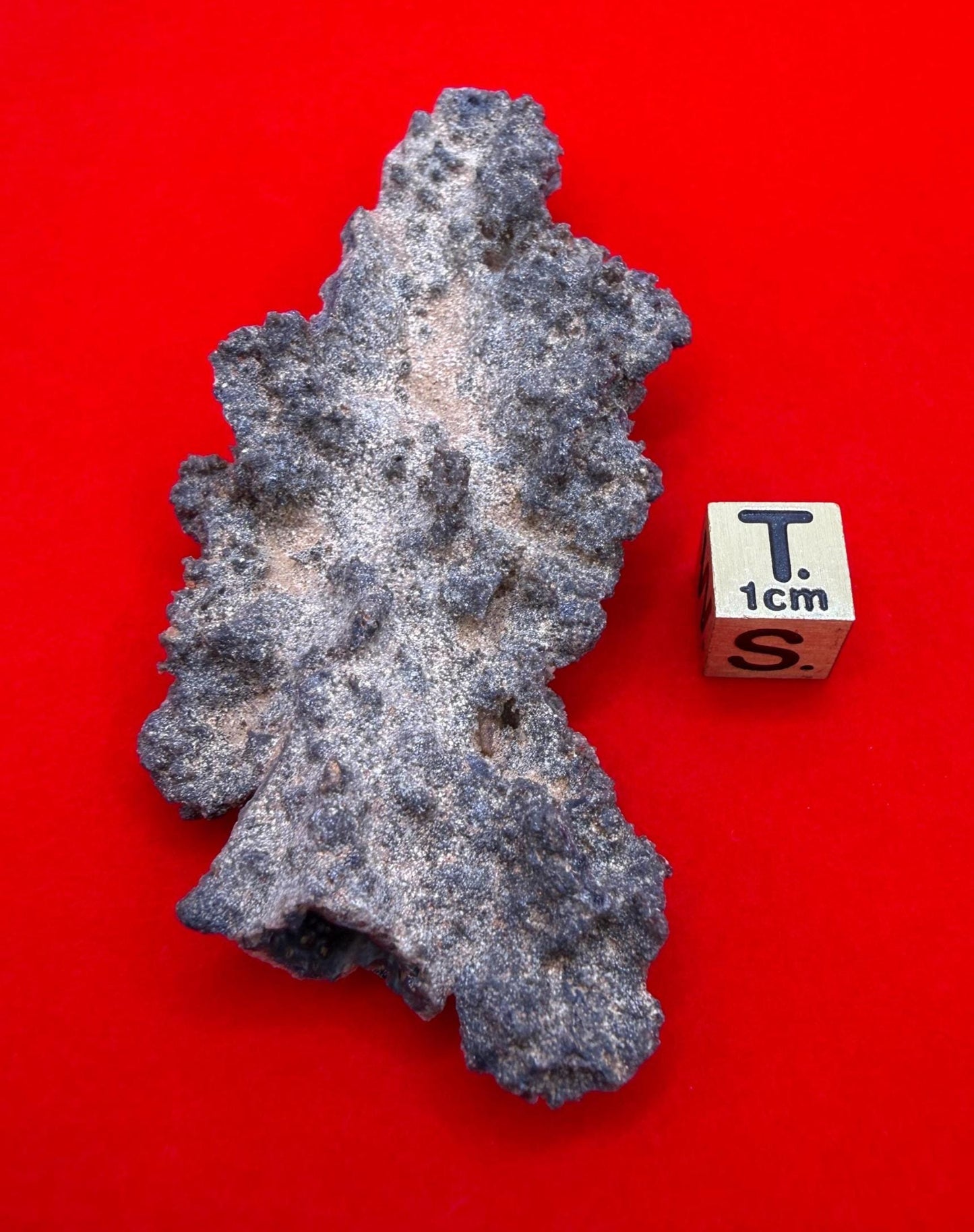 Sahara Desert Fulgurite: Fossilized Lightning Rock, Energy Work, 12.47 grams