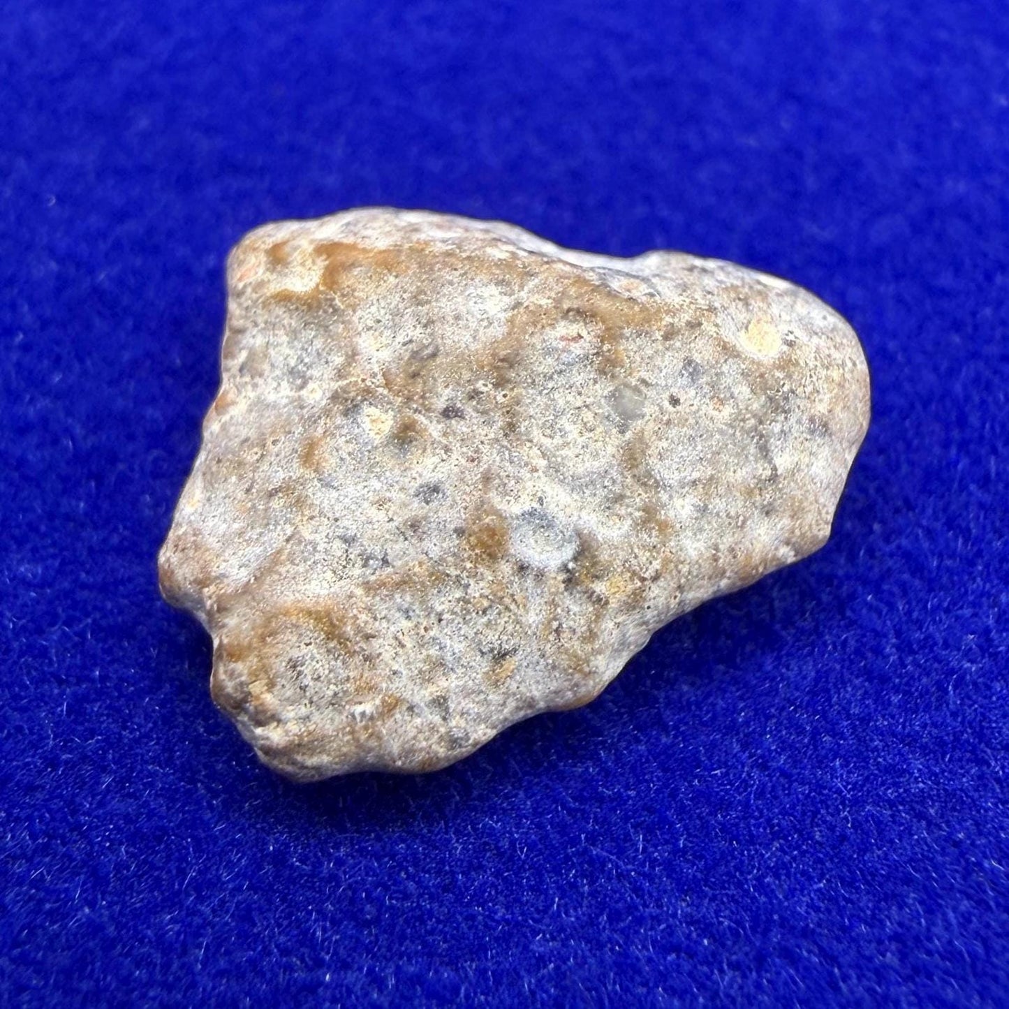 NWA 13974 Lunar Meteorite: Feldspathic Breccia Moon Rock, 0.67 grams