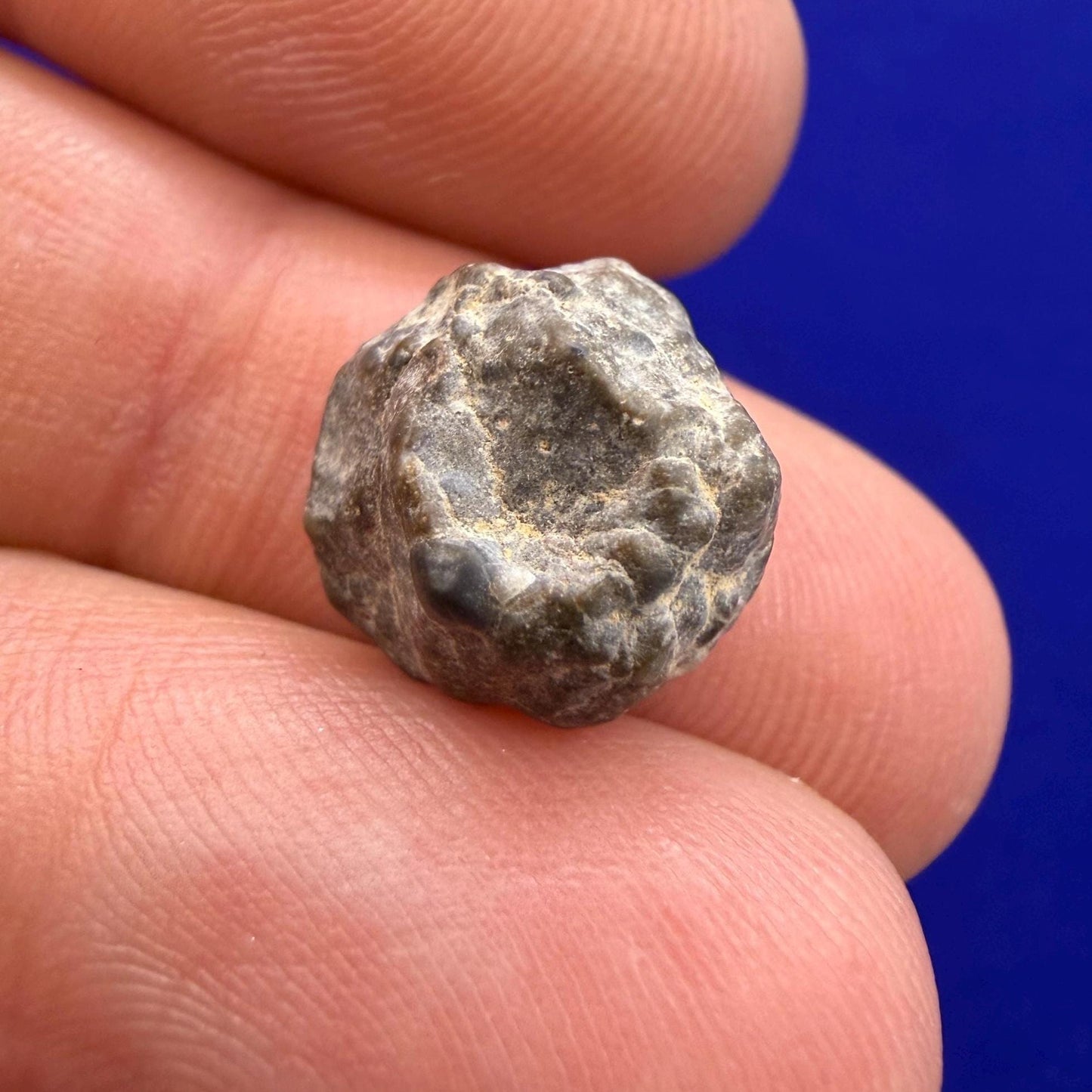 NWA 13974 Lunar Meteorite: Feldspathic Breccia, Moon Rock, 1.34 grams