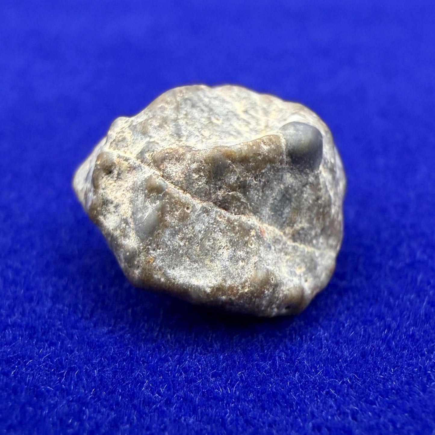 NWA 13974 Lunar Meteorite: Feldspathic Breccia, Moon Rock, 1.34 grams