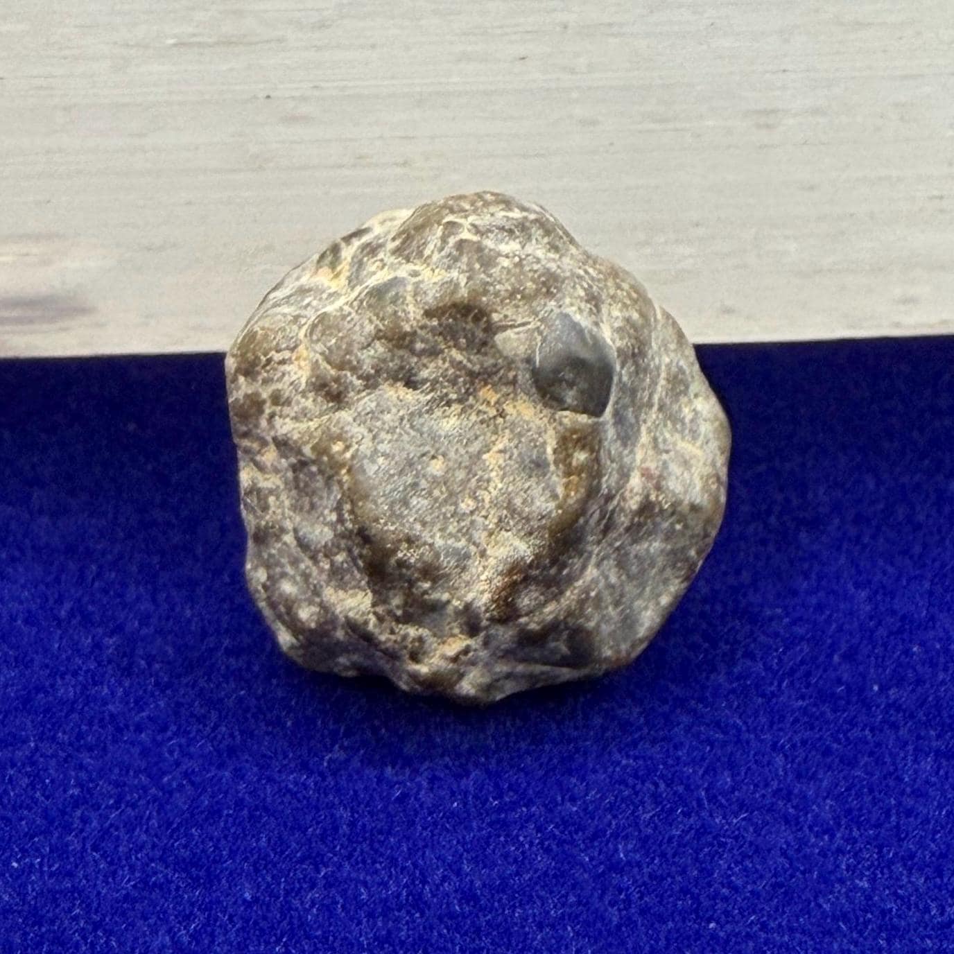 NWA 13974 Lunar Meteorite: Feldspathic Breccia, Moon Rock, 1.34 grams
