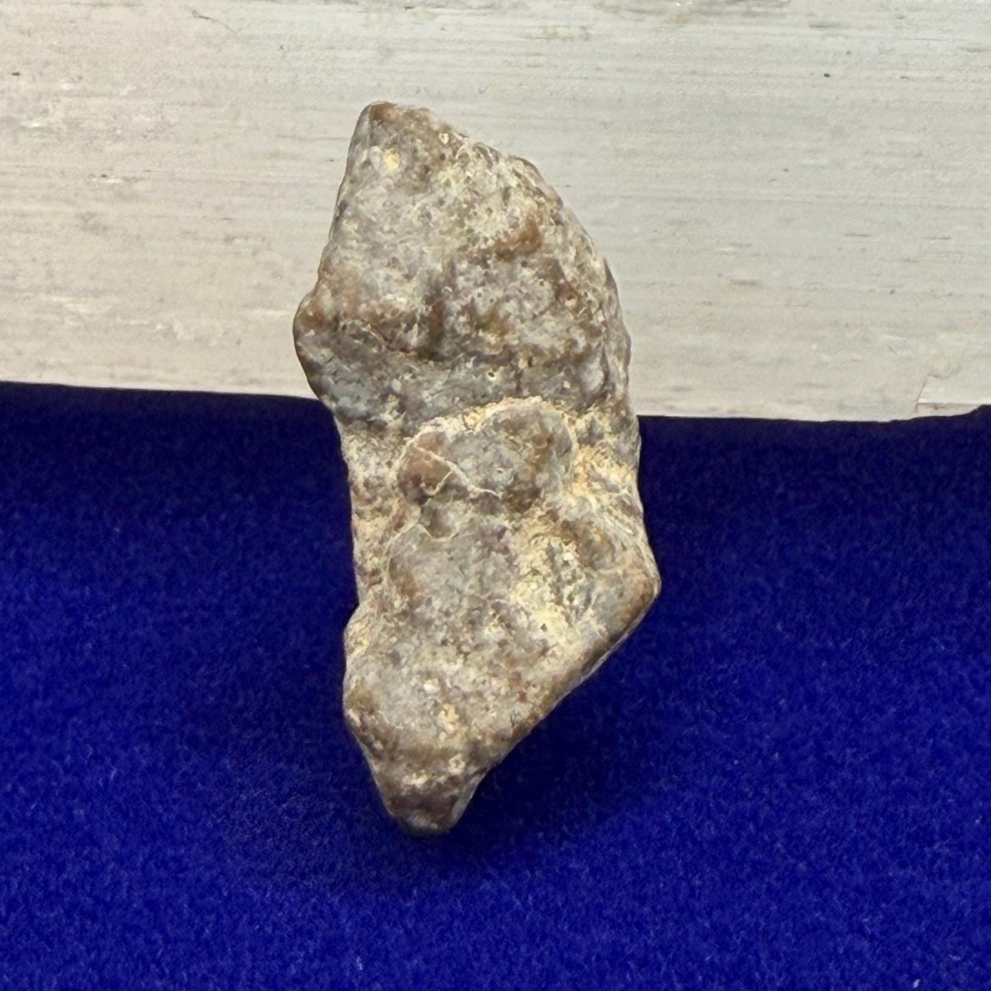 NWA 13974 Lunar Meteorite: Feldspathic Breccia, Moon Rock, 1.53 grams