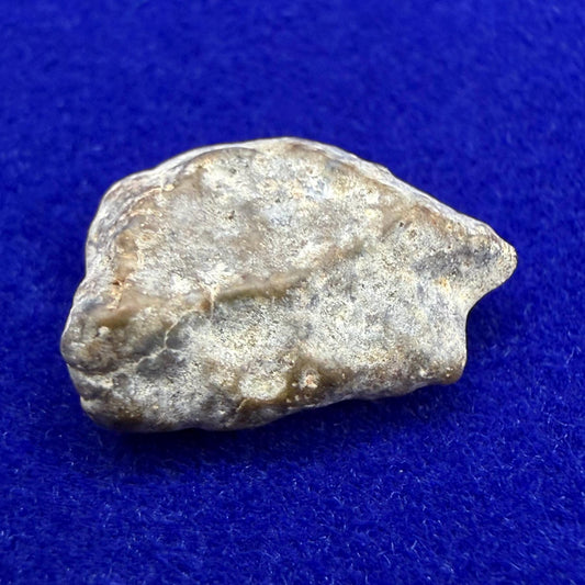 NWA 13974 Lunar Meteorite: Feldspathic Breccia Moon Rock, 0.76 grams