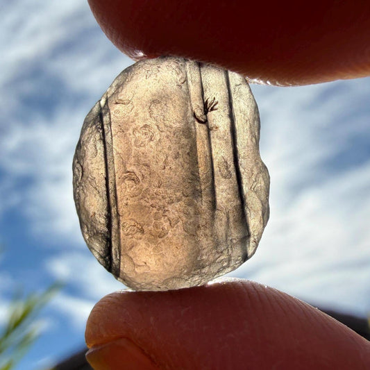 Saffordite Stone: Rare Cintamani, Arizona Tektite -2.57 Grams