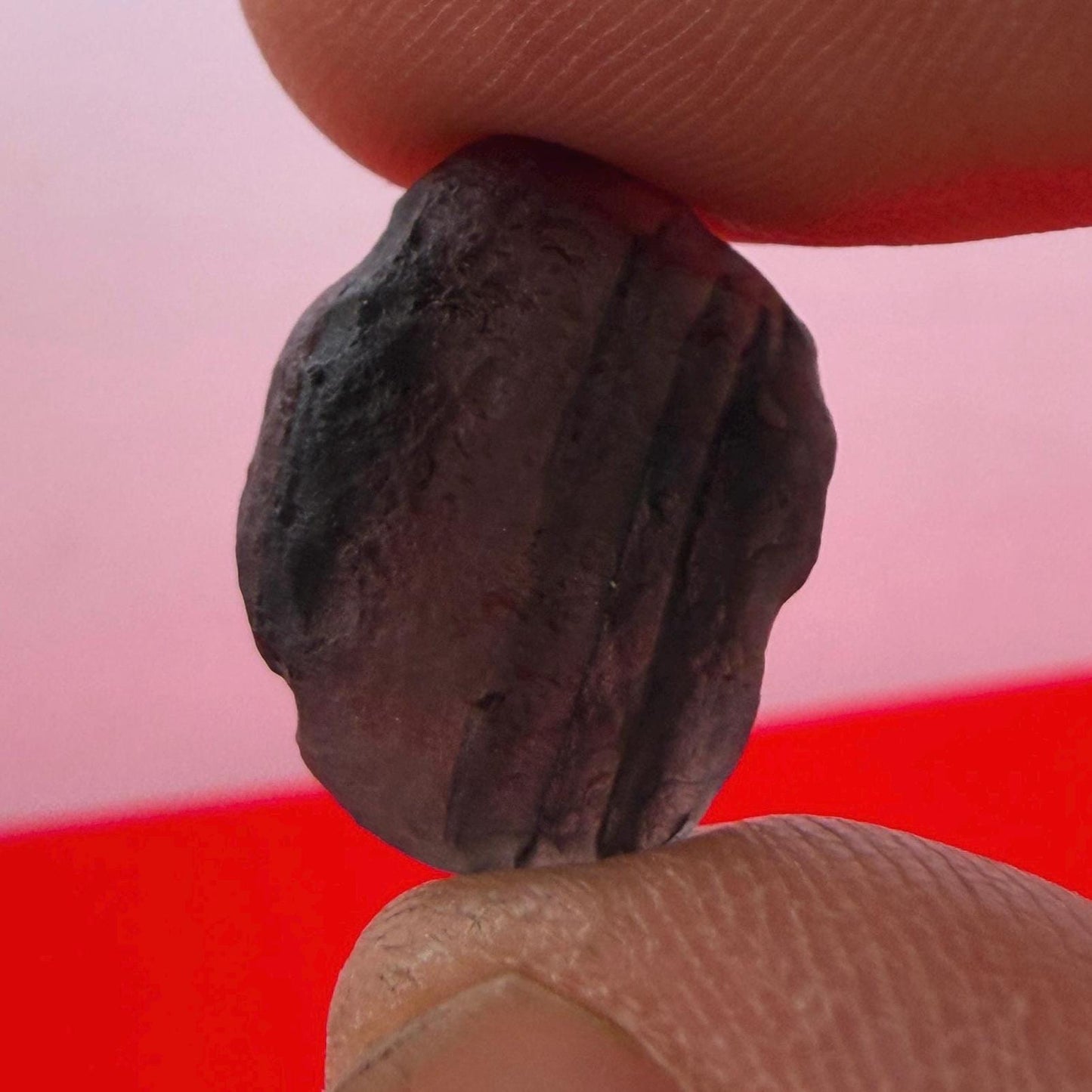 Saffordite Stone: Rare Cintamani, Arizona Tektite -2.57 Grams