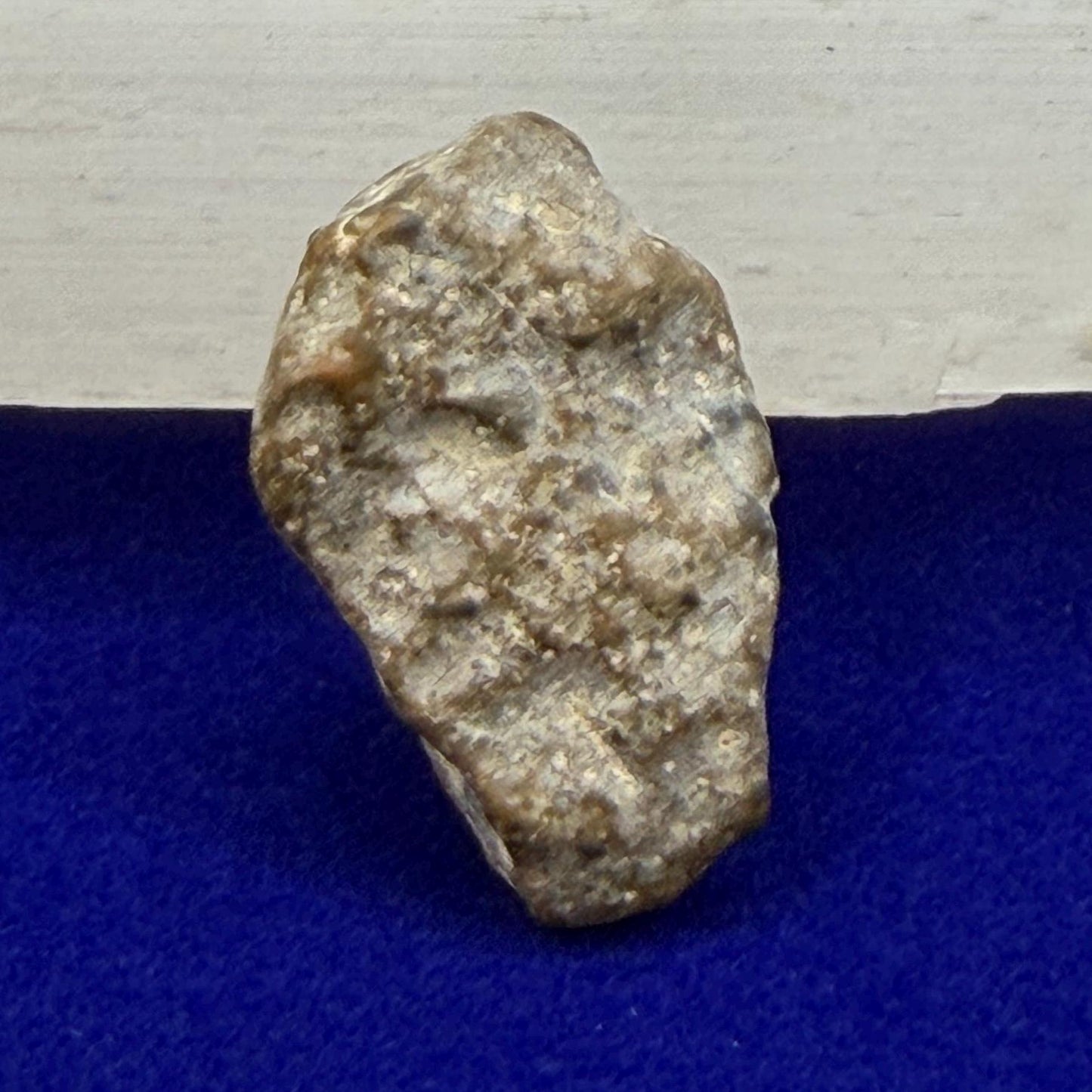 NWA 13974 Lunar Meteorite - Feldspathic Breccia, 2.28 grams