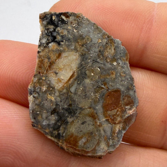 NWA 18045 Lunar Meteorite Slice, Newly Classified, Translucent, Authentic Moon Rock, Melt Breccia, 3.42 grams