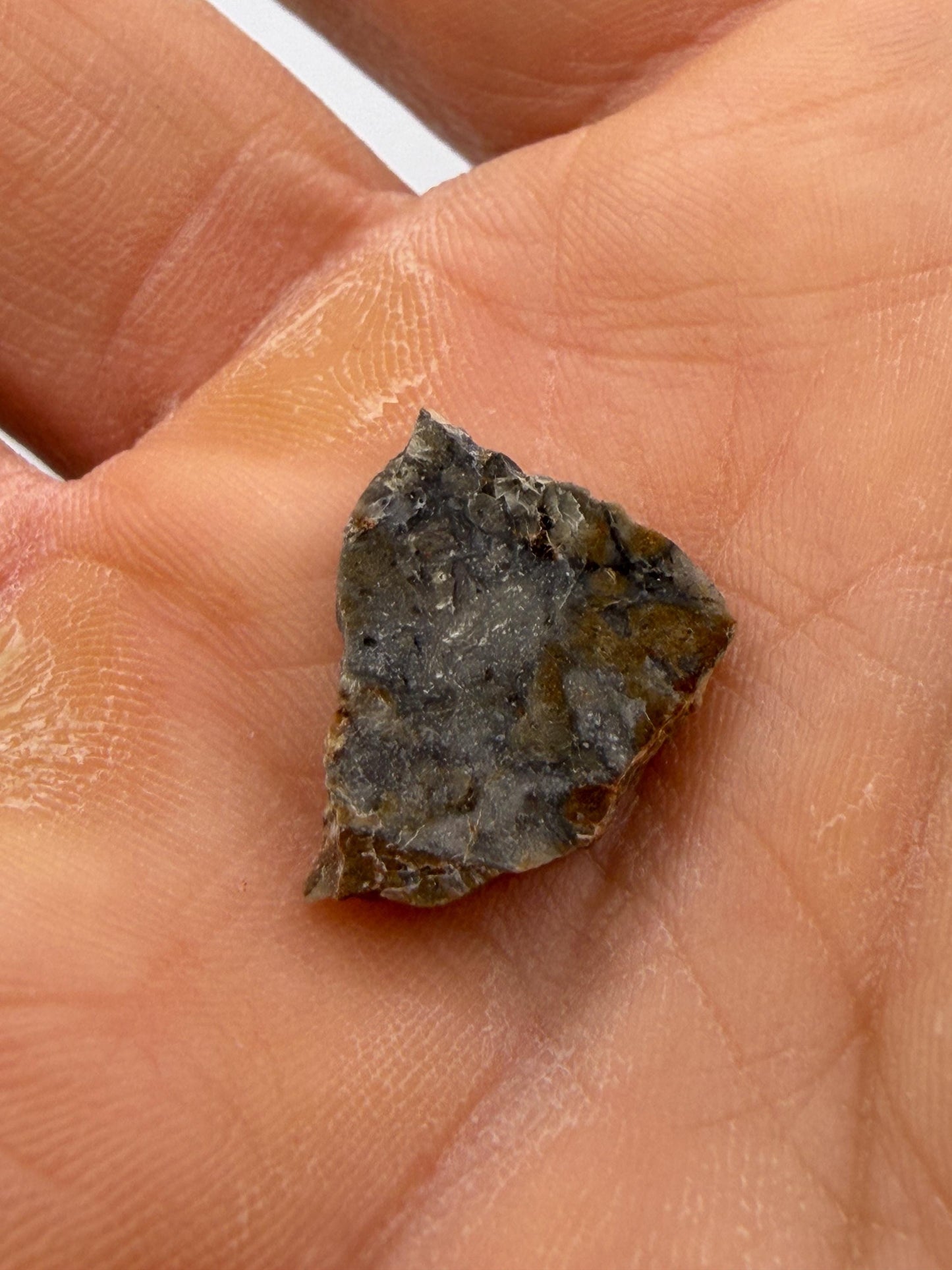 NWA 18045 Lunar Meteorite Slice, Newly Classified, Translucent, Authentic Moon Rock, Melt Breccia, 0.93 grams
