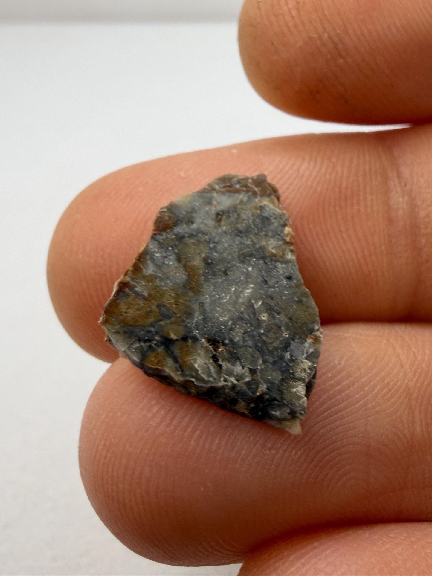 NWA 18045 Lunar Meteorite Slice, Newly Classified, Translucent, Authentic Moon Rock, Melt Breccia, 0.93 grams