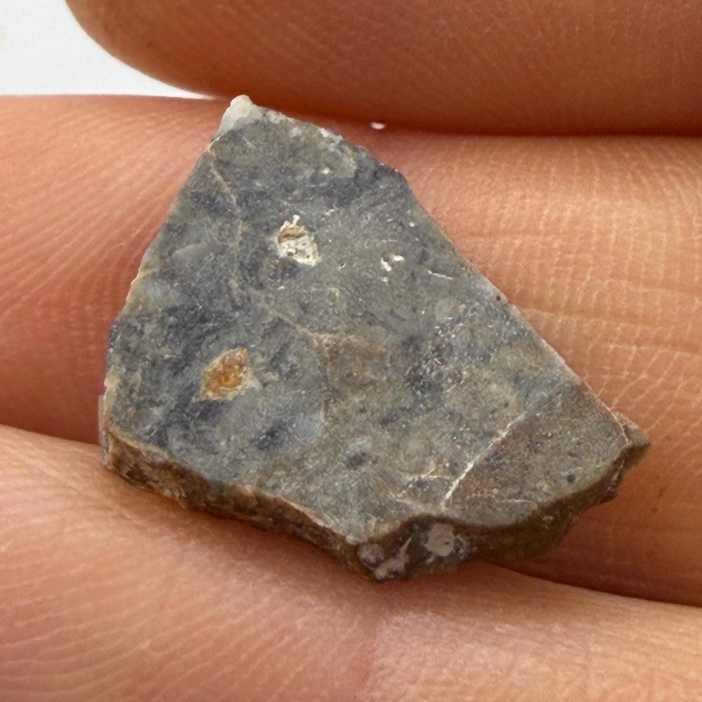 NWA 18045 Lunar Meteorite Slice, Newly Classified, Translucent, Authentic Moon Rock, Melt Breccia, 0.93 grams