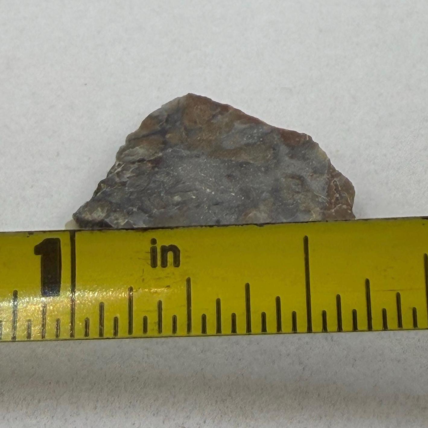 NWA 18045 Lunar Meteorite Slice, Newly Classified, Translucent, Authentic Moon Rock, Melt Breccia, 0.93 grams